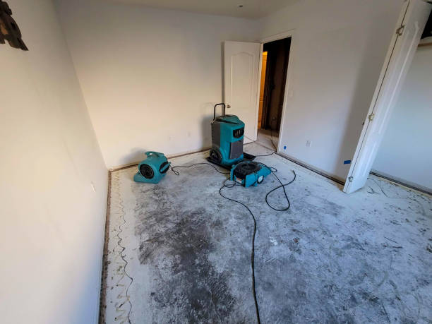 Best Emergency water damage restoration  in Edina, MN