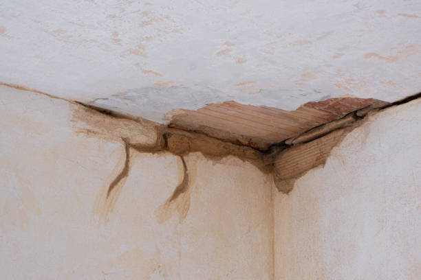 Best Commercial water damage restoration  in Edina, MN