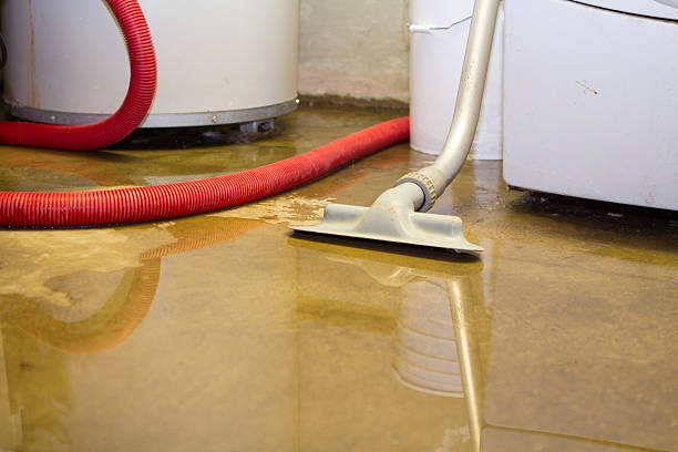 Best Water damage restoration near me  in Edina, MN