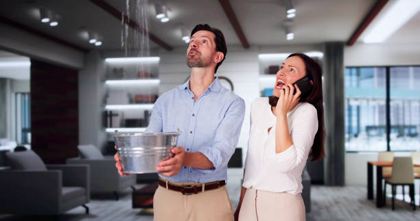 Best Flooded house restoration  in Edina, MN